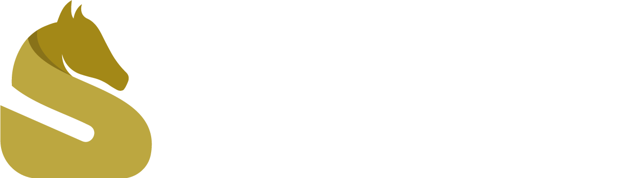 Stellar Consultancy